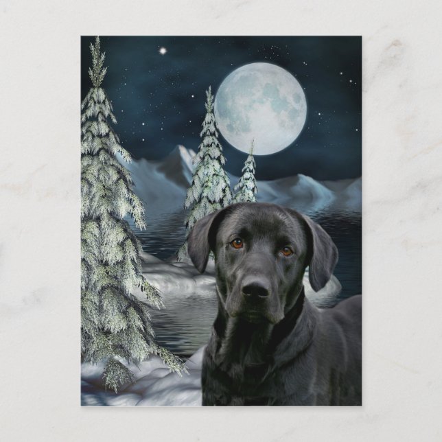 Black lab Christmas Holiday Postcard (Front)