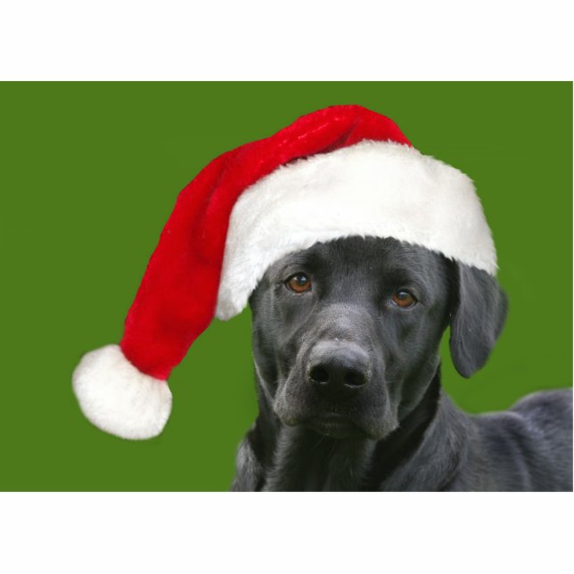 Black lab Christmas Standing Photo Sculpture (Front)