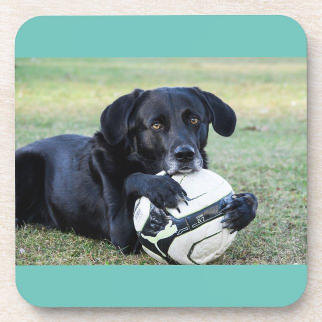 Black lab coasters.  Set of six. Coaster (Front)