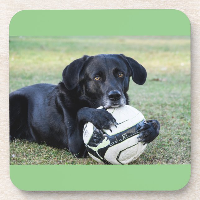 Black lab coasters.  Set of six. Coaster (Front)