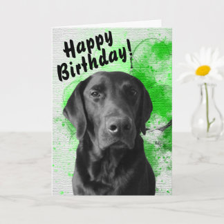 Black Lab Customisable Birthday Card Green