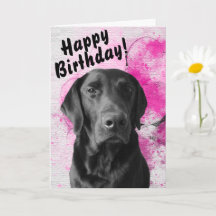 Black Lab Customisable Pawsome Birthday Card Pink