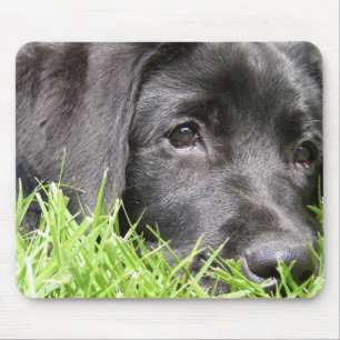 Black Lab Daydreamer Mouse Mat