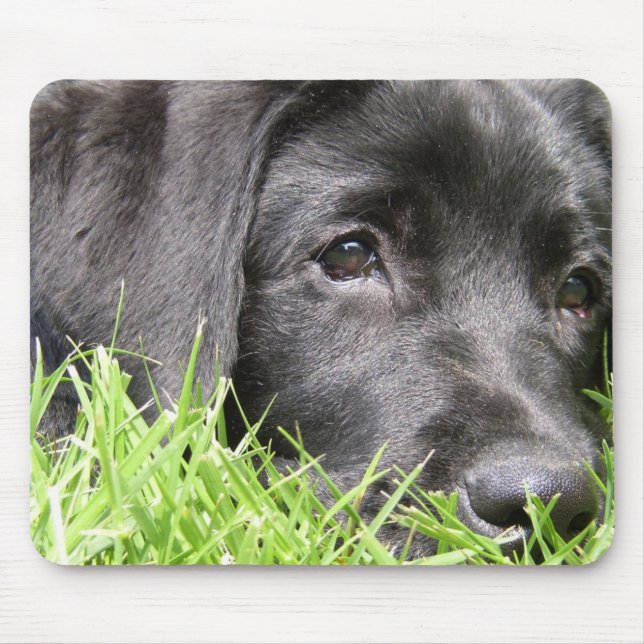 Black Lab Daydreamer Mouse Mat (Front)