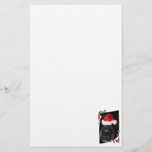 Black lab dog nose with santa hat photograph stationery