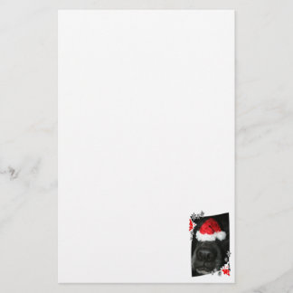Black lab dog nose with santa hat photograph stationery