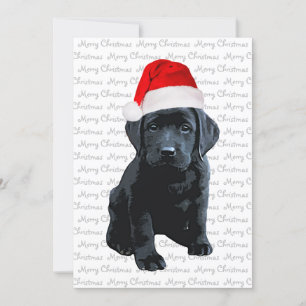 Black Lab Dog Santa Merry Christmas Black Labrador Invitation