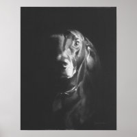 Black Lab Dog Watercolor by Paul Jackson