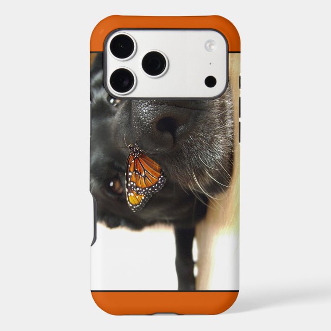 BLack Lab Dog With Butterfly (Back)