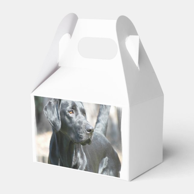 Black Lab Favour Box (Front Side)