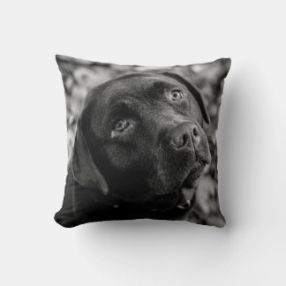 Black Lab - Heart of a Dog Cushion