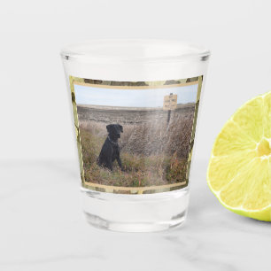 Black Lab Hunting Dog With  Camo Trim Shot Glass