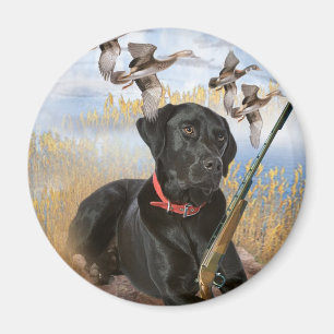 Black Lab hunts magnet