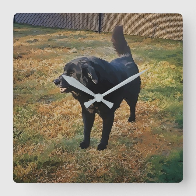 Black Lab In The Fall Sun Wall Clock (Front)