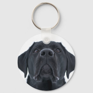 Black lab keychain, labrador dog lover tag key ring