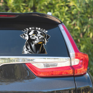 Black Lab   Lab on Board