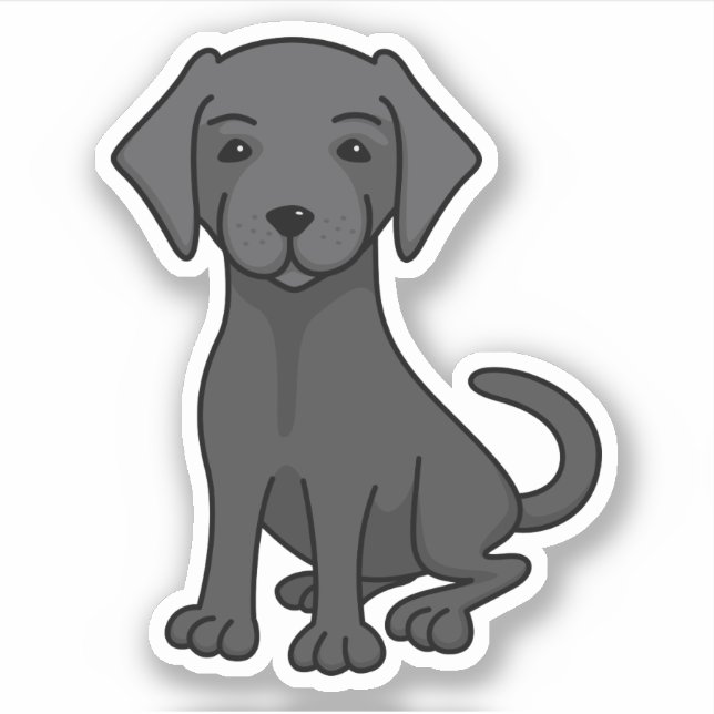 Black lab labrador (Front)