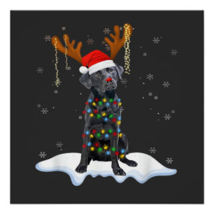 Black Lab Labrador Christmas Tree Light Pajama Dog Poster