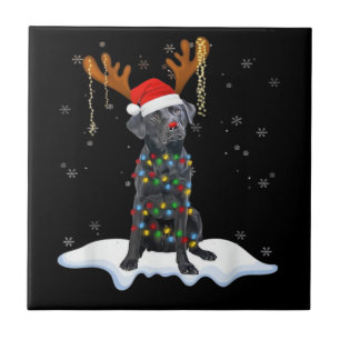 Black Lab Labrador Christmas Tree Light Pajama Dog Tile