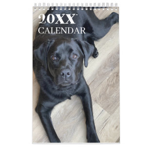 Black Lab Labrador Retriever Calendar