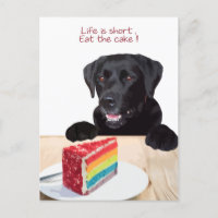 Black Lab- Life is short , eat the Cake - Labrador