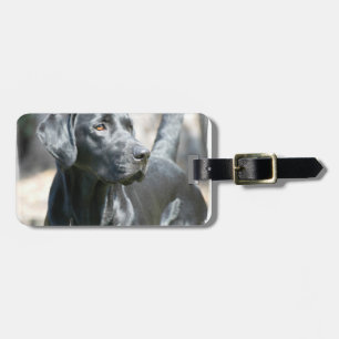 Black Lab Luggage Tag