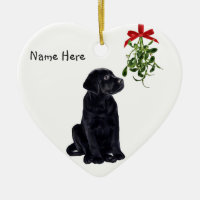 black lab items