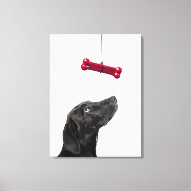 Black lab mixed dog with red dog bone canvas print (Front)
