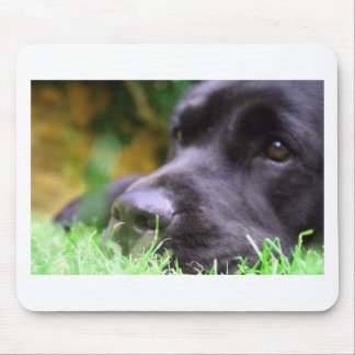 black lab mouse mat