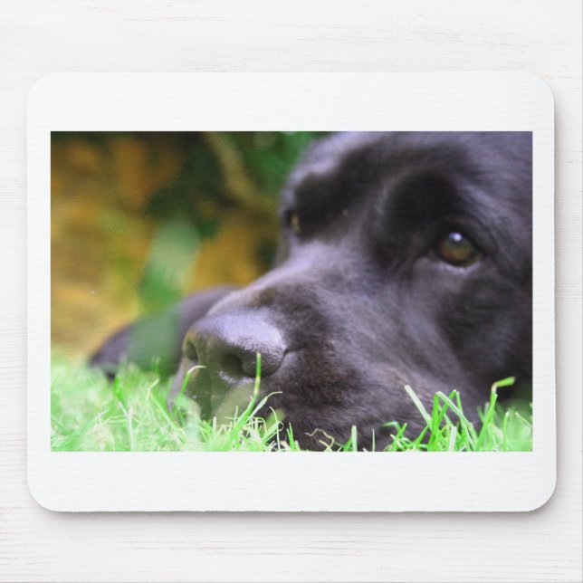 black lab mouse mat (Front)