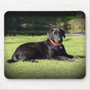 Black Lab Mouse Mat
