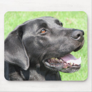 Black Lab Mouse Mat