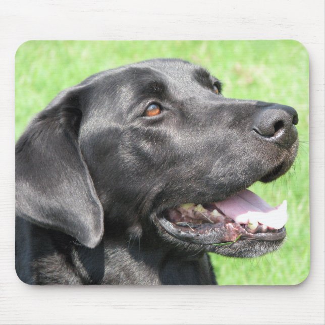 Black Lab Mouse Mat (Front)