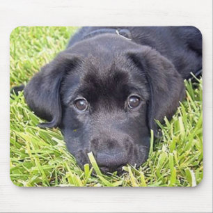 Black Lab mousepad
