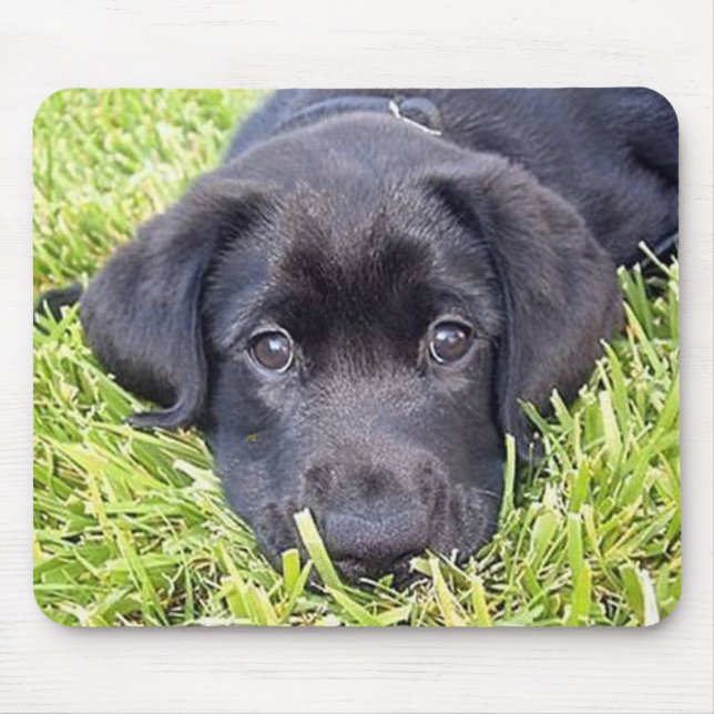 Black Lab mousepad (Front)