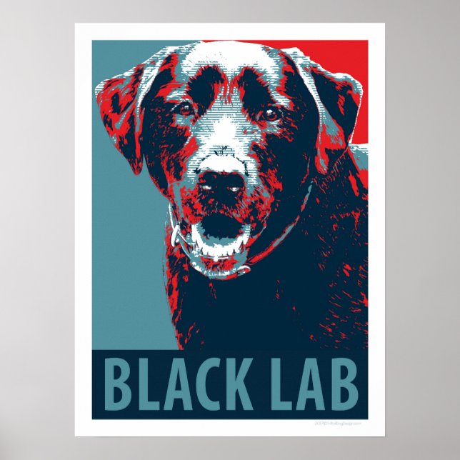 Black Lab Patriotic Political Parody Poster (Front)