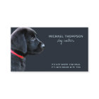 Black Lab Pet Dog Business Dog Walker
