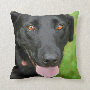 Black Lab Pillow