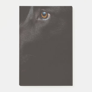 black lab post-it notes