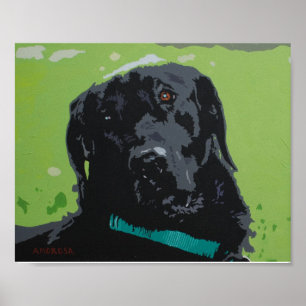 Black Lab Poster