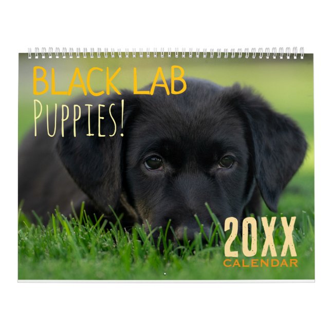 Black Lab Puppies Calendar Puppy Dog Labrador (Cover)
