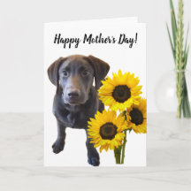 Black Lab Puppy and Sunflowers Pun