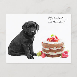 Black Lab Puppy - Dog Birthday - Labrador Dog Cake Postcard