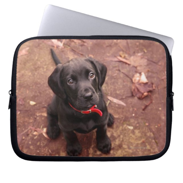 Black Lab Puppy Laptop Sleeve (Front)