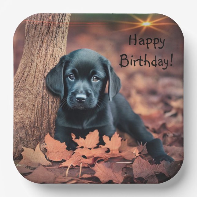 Black Lab Puppy Paper Plate (Front)