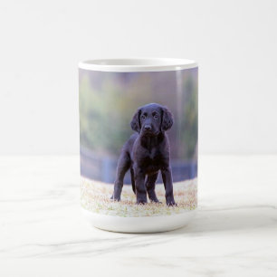 Black Lab Puppy Standing Coffee Mug