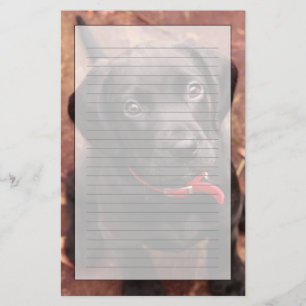 Black Lab Puppy Stationery