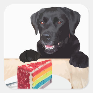 Black Lab Rainbow Cake Dog Birthday Party Square Sticker