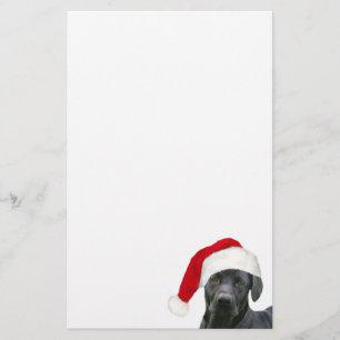 Black lab Santa Stationery