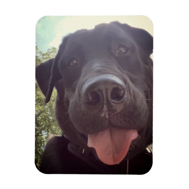 Black Lab Selfie Dog Photo Magnet (Vertical)
